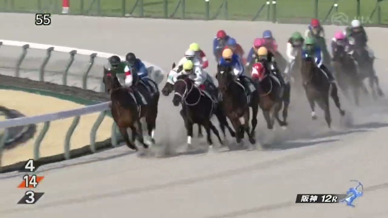 2025年3月23日阪神12R 4歳以上2勝クラス　ダート1400m ビダーヤ