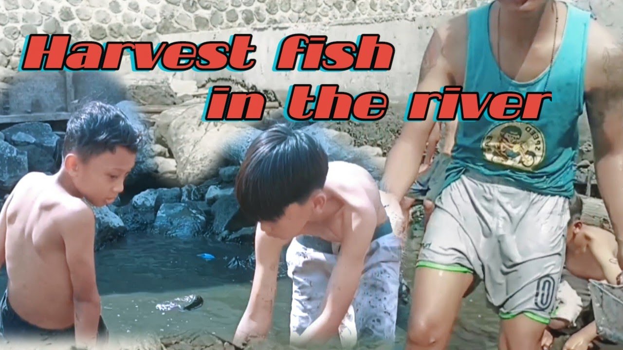 Tangkap ikan di sungai yang lagi surut