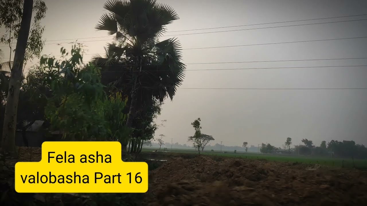 New Golpo ফেলে আসা ভালোবাসা | Part 16 | Fela Asha Valobasha  Golpo Voice of Jamil 