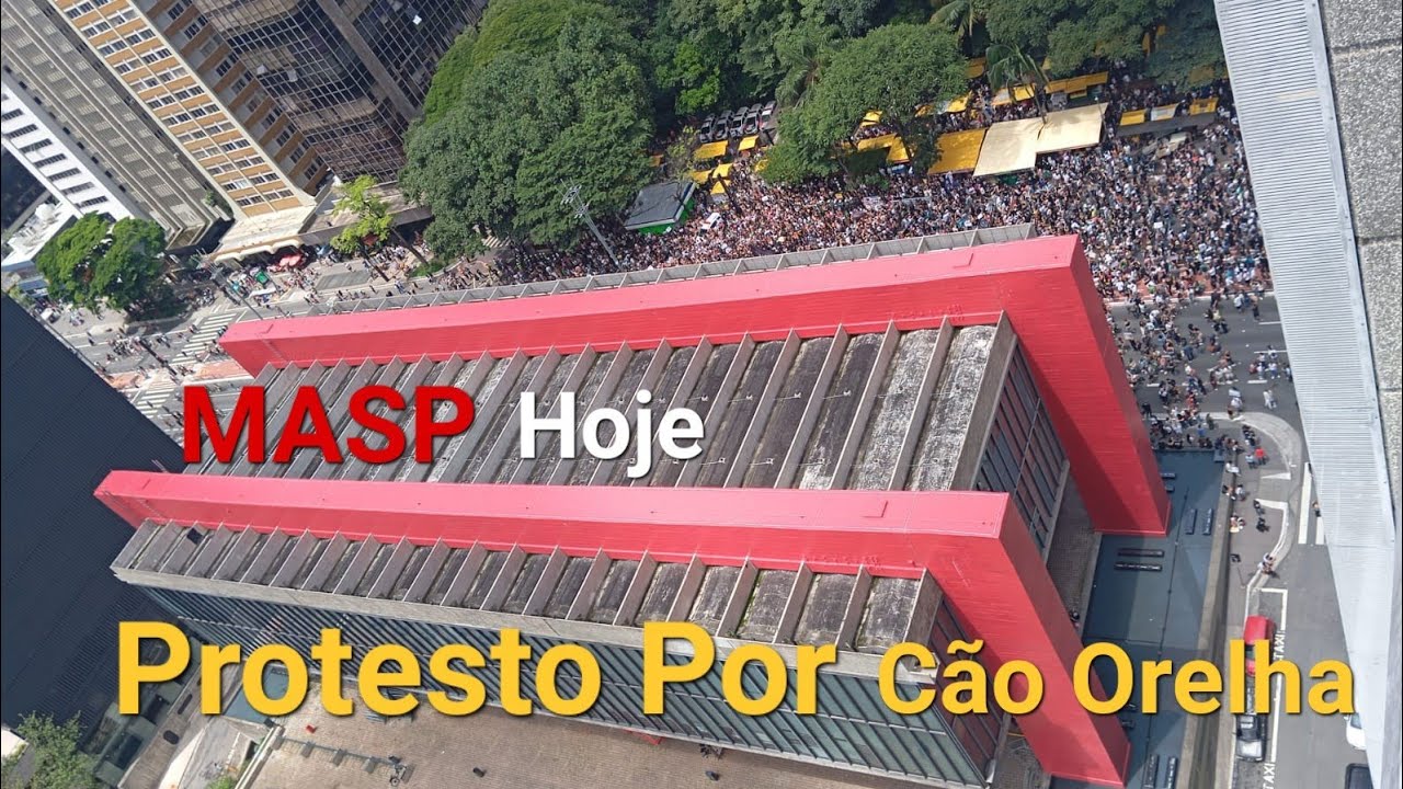  Protestos por morte do cão Orelha mobilizam capitais neste fim de semana: 