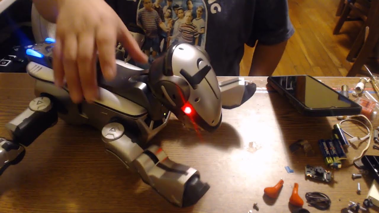 Ремонт Sony Aibo ERS-220 (Kai) для: Светланы (диагностика)
