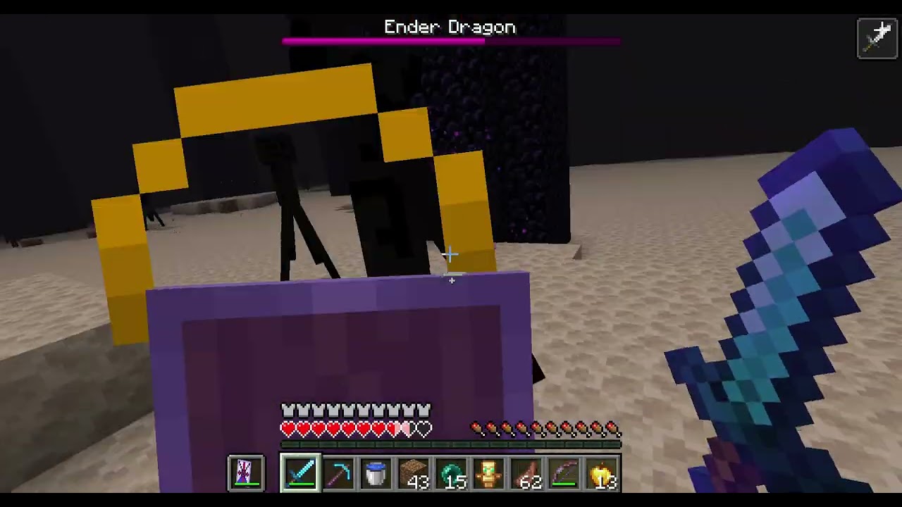 J’ai battu l’Ender Dragon.