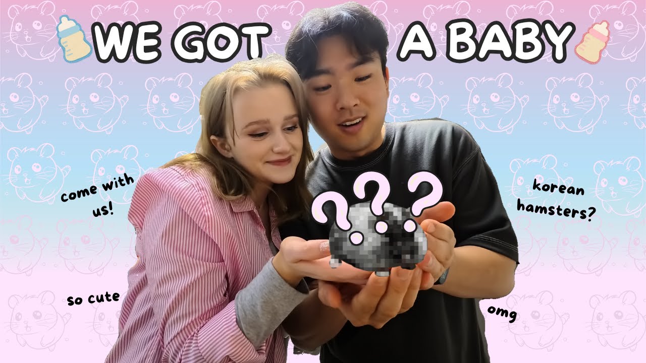 GETTING A HAMSTER IN KOREAㅣVlog & Supplies Haul