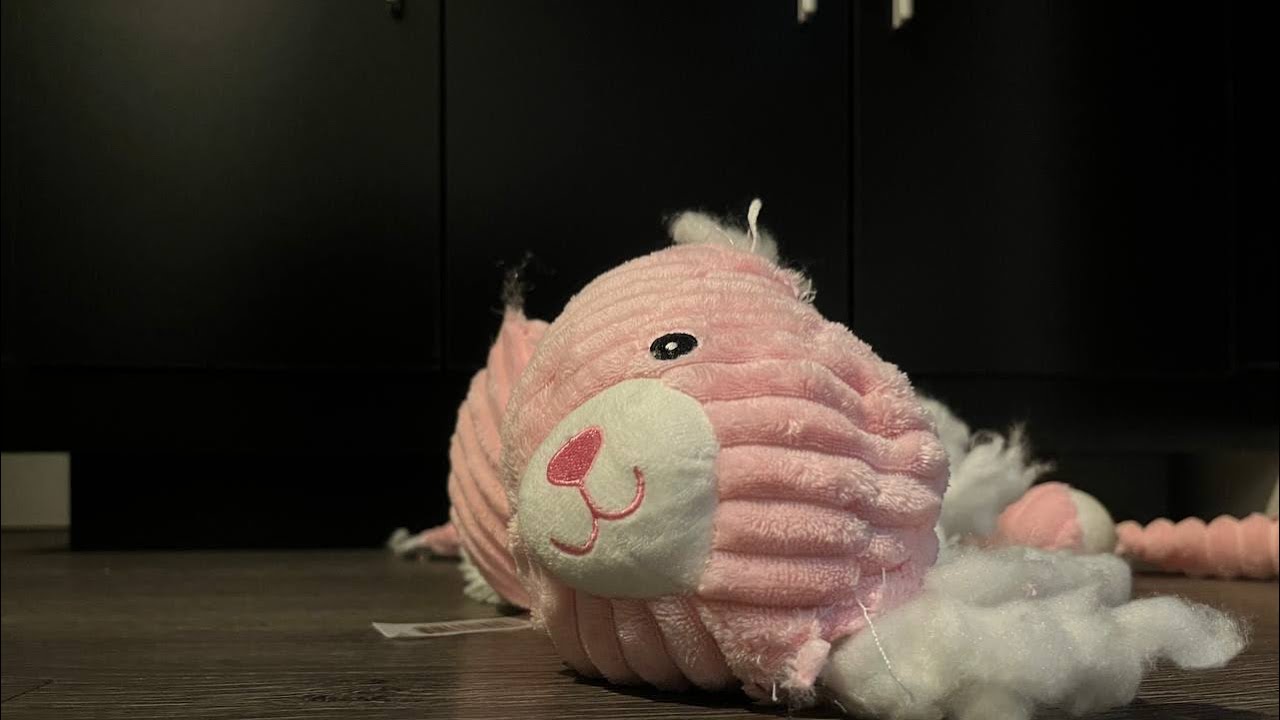 plush bunny destruction Plushie destruction/teddy trample/ plush trample
