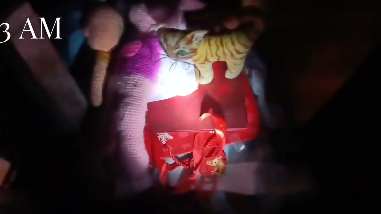Five Night In The Room 1 / night 1