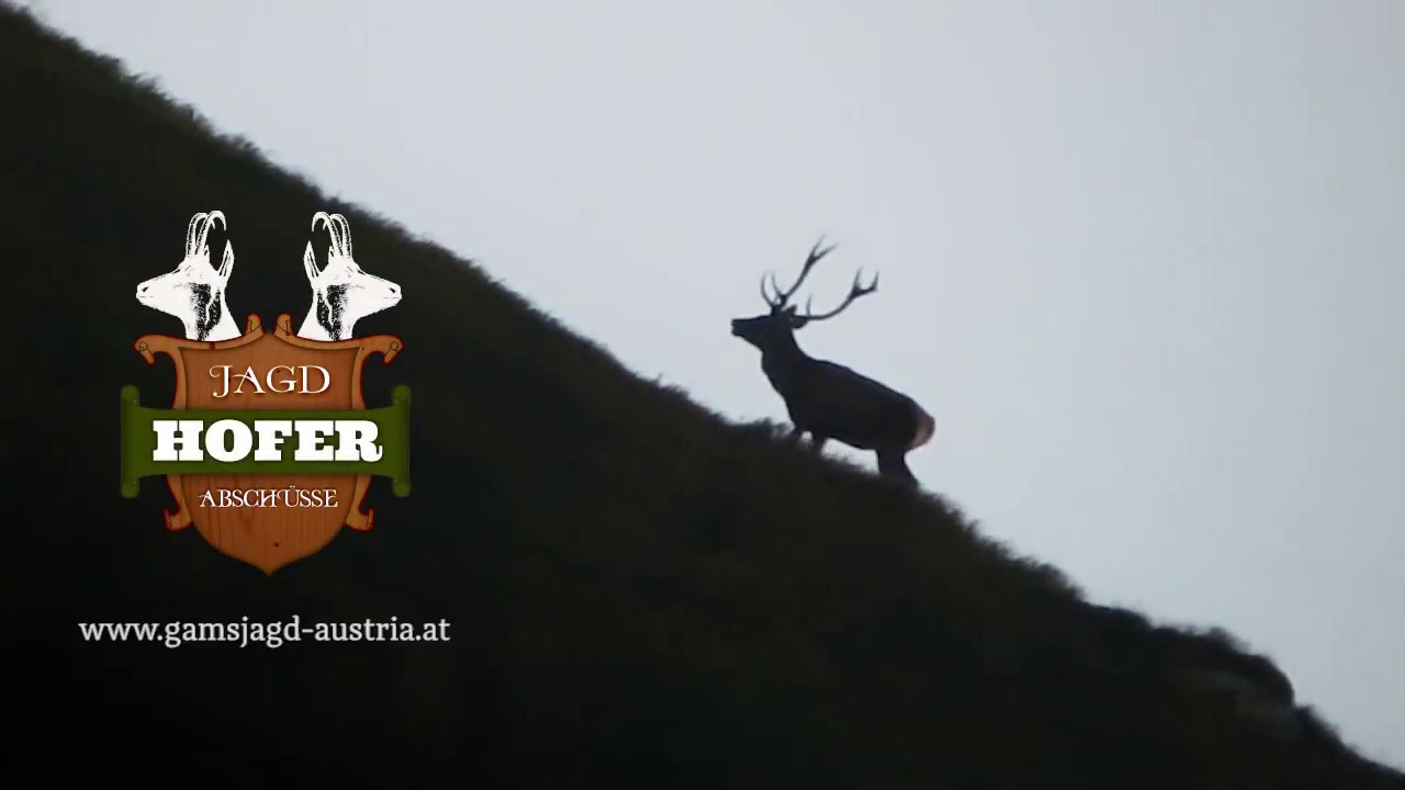 GAMSJAGD AUSTRIA 2018