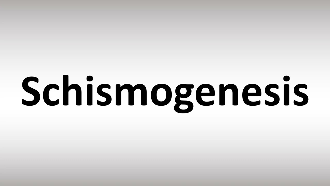 How to Pronounce Schismogenesis
