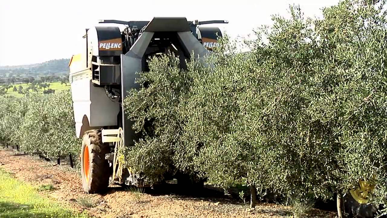 SOCOOPEC Machine pour la récolte des olives tractée PELLENC CV5045