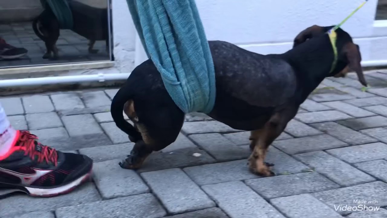 Reabilitação de hérnia de disco grau 5