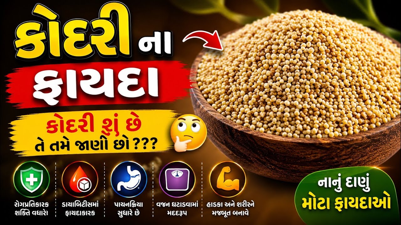 કોદરી શું છે?કોદરીના ફાયદા Kodri na fayda benefit of kodri mota sama na fayda Benefit of Kudo millet