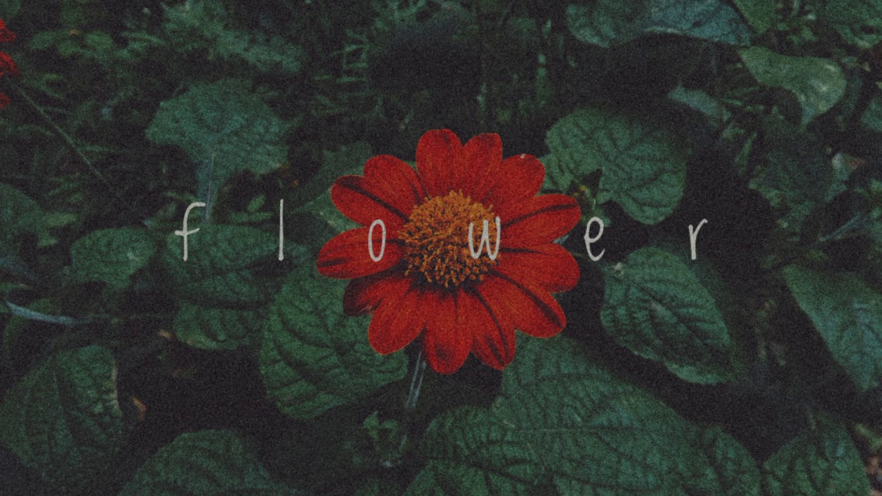 f l o w e r - DVD ft Tr&iacute; Dũng (rap cover by SySoi)