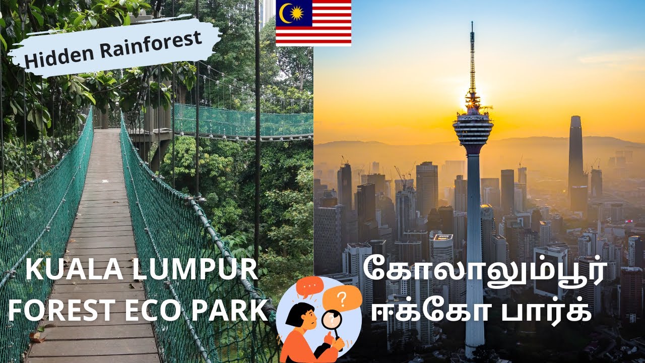 🇲🇾ENG SUB] Uncovering the Secret Rainforest of Kuala Lumpur - KL Tower Malaysia [Part 1]