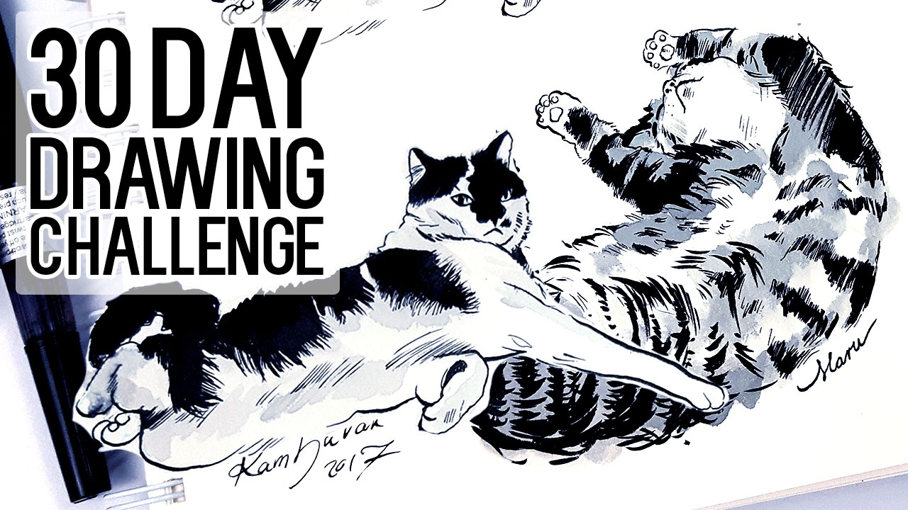 Maru & Shiro ★ DAY 2 ★ [30 Day Drawing Challenge]
