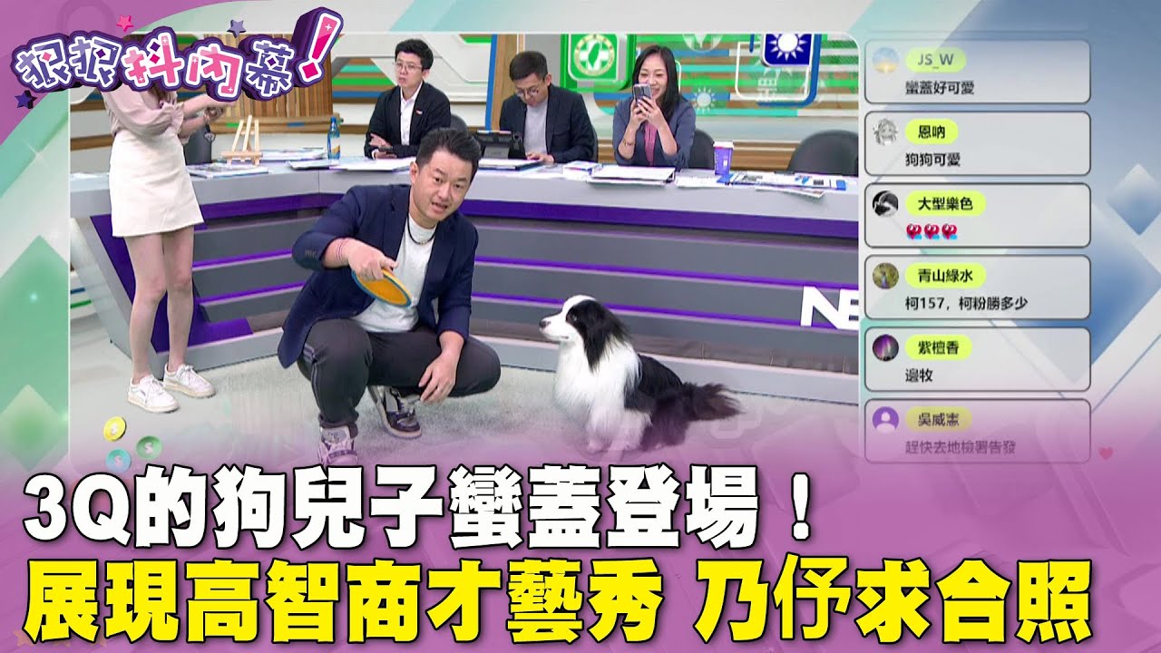 廣告時間》#狠狠抖內幕 #陳柏惟 3Q的狗兒子蠻蓋登場！展現高智商才藝秀 #王乃伃 求合照