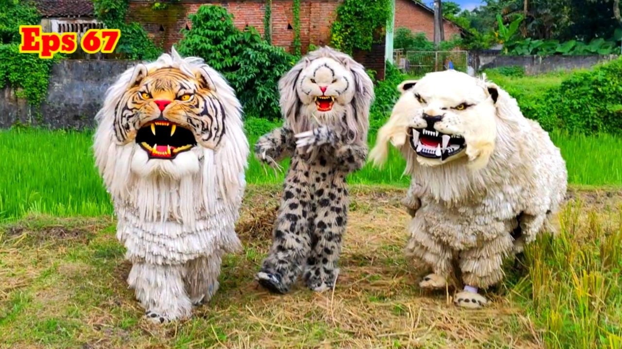 PERTARUNGAN CAN MACANAN SINGO RAUNG DENGAN BARONGAN KUCINGAN // EPS 67