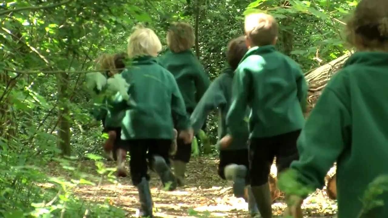 Stroud School - Forest School