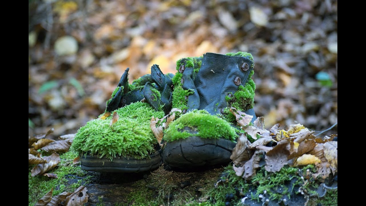 BOTAS de MONTAÑA VEGANAS ¿Qué opinan?