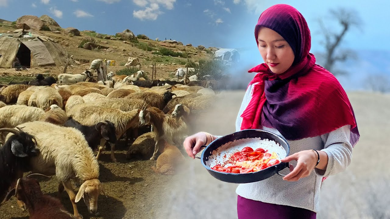 Nomadic Life: Pristine nature and lunch with Turkmen People | NOMADIC RURAL LIFE