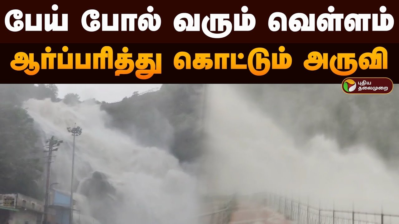 பேய் போல் வரும் வெள்ளம்; ஆர்ப்பரித்து கொட்டும் குற்றால அருவி.. | Kutralam Falls Flood | PTD