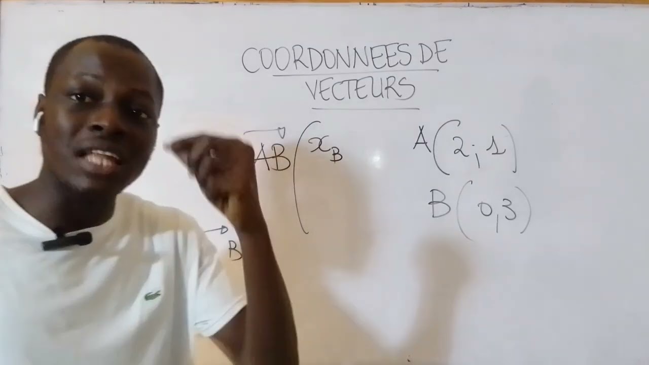 Calcul de coordonnées de vecteurs Maths-3ème