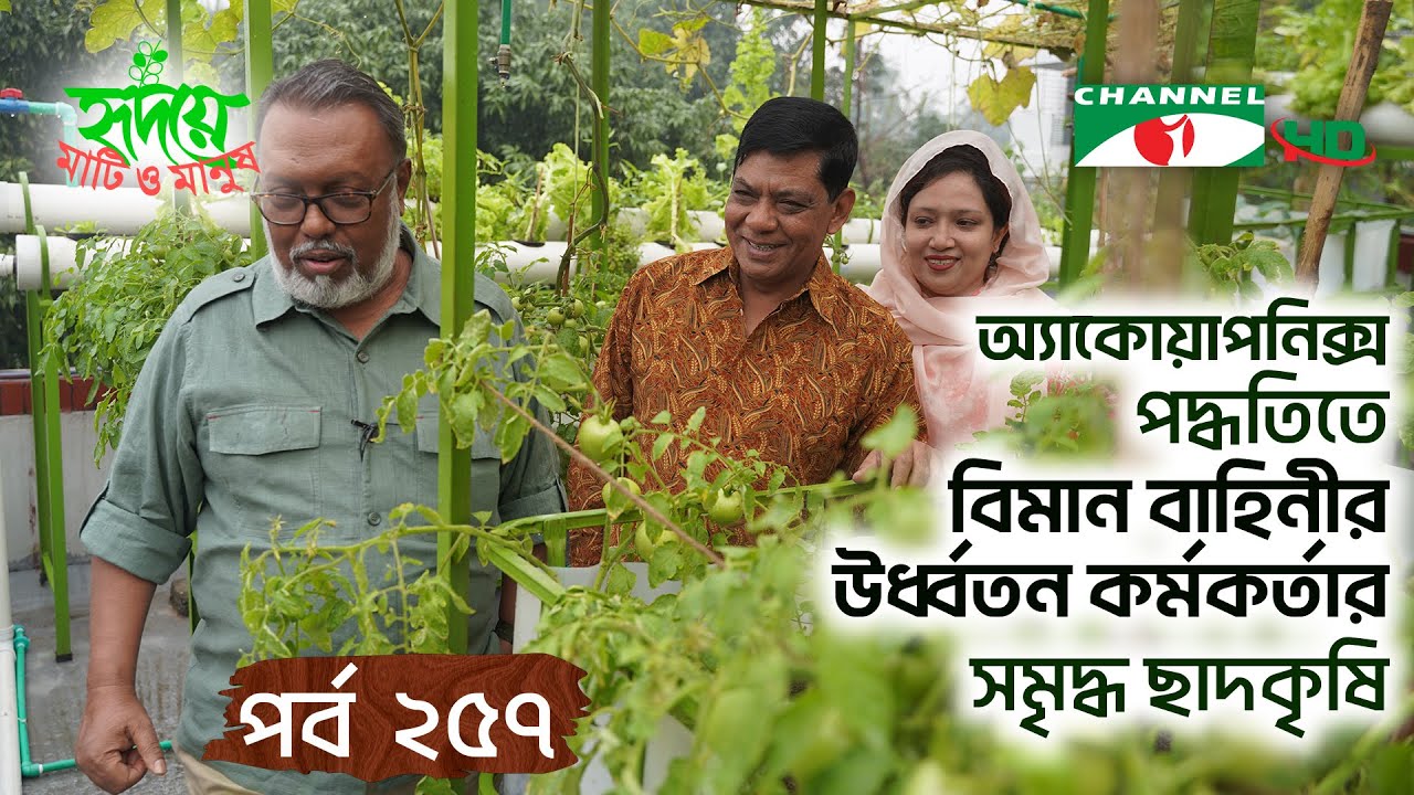 বিমান বাহিনীর উর্ধ্বতন কর্মকর্তার বাসভবনে আধুনিক ছাদকৃষি | পর্ব ২৫৭ | Shykh Seraj | Channel i |