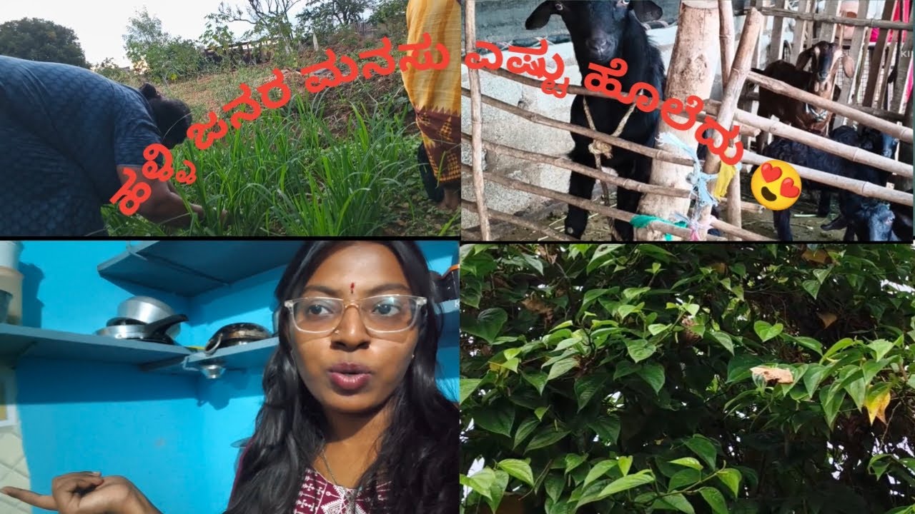 ಹಳ್ಳಿ ಜನರ ಪ್ರೀತಿ ಎಷ್ಟು ಚಂದ 😍👌☺️.@Sinduraslifestyle .