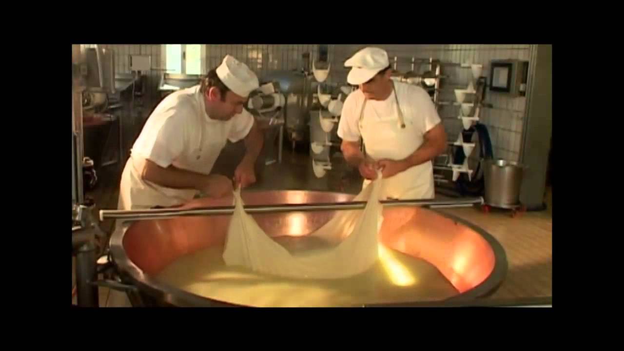 Parmigiano Reggiano Dop: fasi di lavorazione