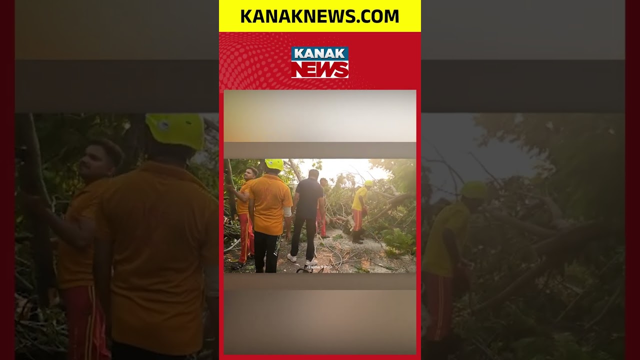 Kalbaisakhi Tragedy! Man Killed After Tree Branch Falls | Weather Update | Odisha News |