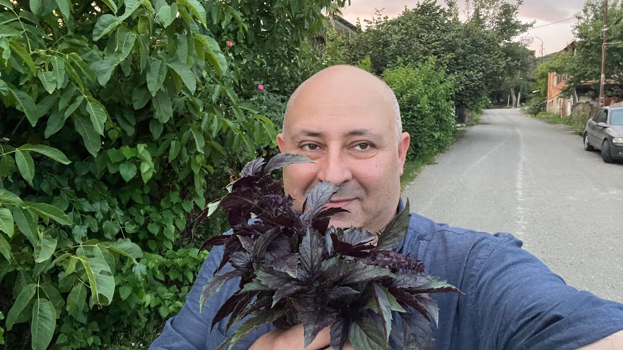 Кахетия. Спешим в Бакурцихе. Воскресный вечер с шашлыками и чакапули. Едем к Хвиче Самадашвили