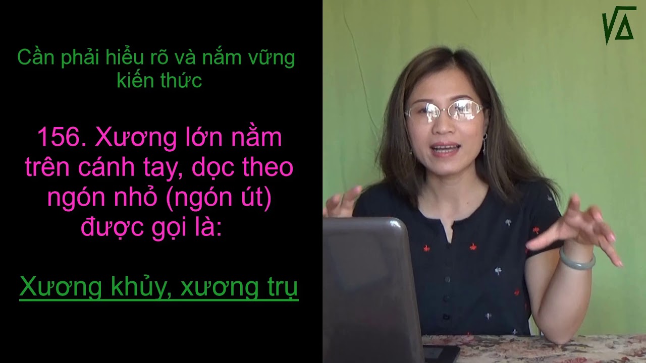 Kiến thức cơ bản cho kì thi lí thuyết bằng nail - Phần 6 | Cuộc sống Mỹ của Van-Anh