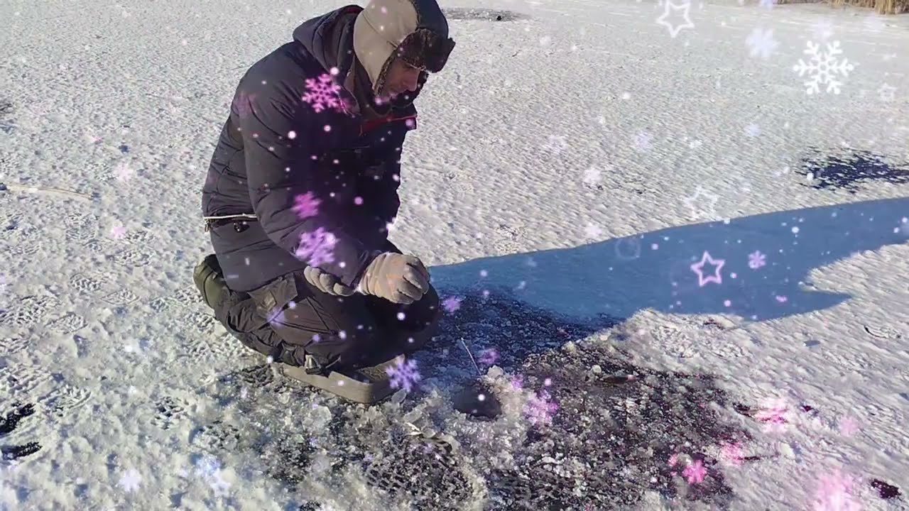 У пошуках полосатого хижака. Рибалка на безмотилку 