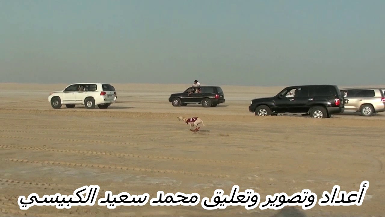 تصفيات بطولة جمعية القناص الدولية الثامنة لهدد السلوقي 2017