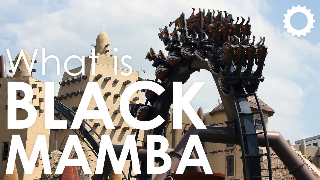 What is: Black Mamba - Phantasialand