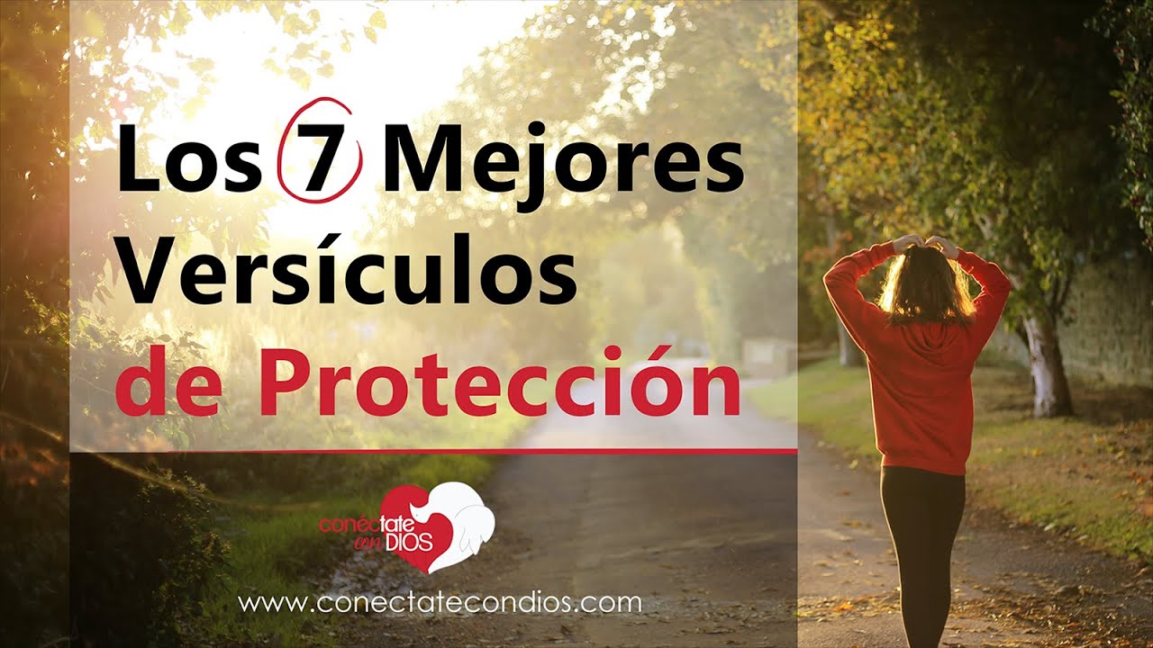 🛡️ Los 7 Mejores Vers&iacute;culos de Protecci&oacute;n (Textos B&iacute;blicos de Seguridad y Protecci&oacute;n)