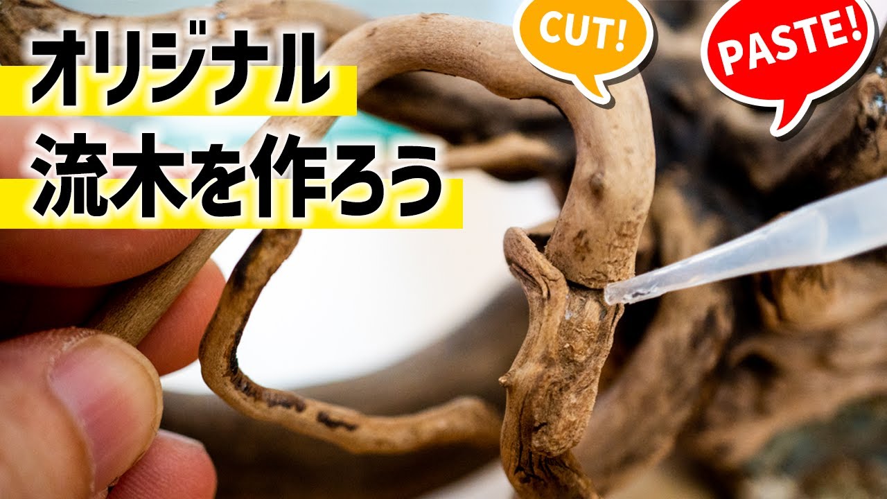 切って貼って好きな形の流木を作る！素材カスタマイズテクニック #アクアリウム #小型水槽 【ビバアクア】