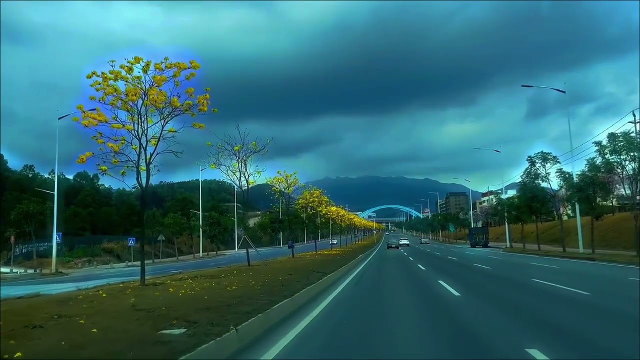 揭秘未来：当占卜遇见现实——别浪费时间