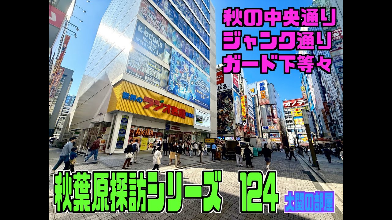 秋葉原探訪シリーズ124 秋の秋葉原散歩　大関の部屋　中央通りからジャンク通りをざっくりと、取りこぼし多いですがお店の紹介や散策等々・・・
