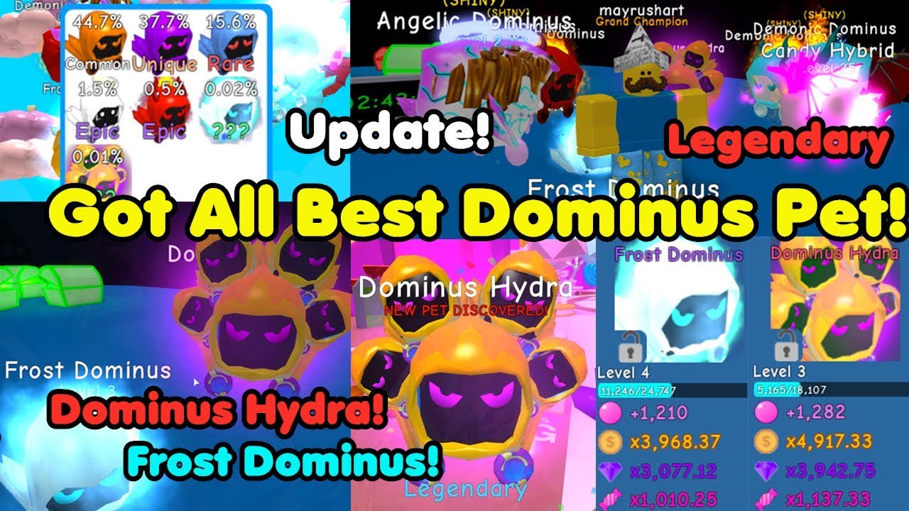 Update! Got Best Dominus Legendary Pets! New Island! Got All Dominus Pets! - Bubble Gum Simulator