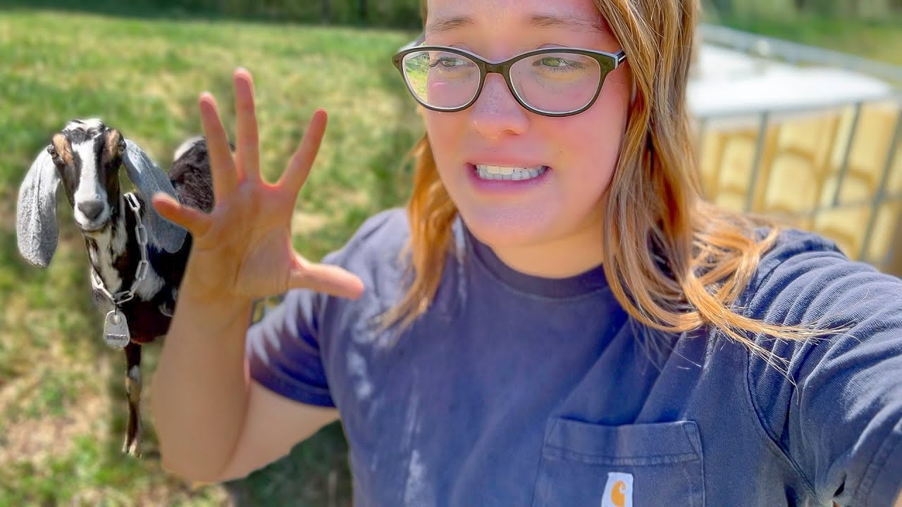 When things go wrong on the farm...