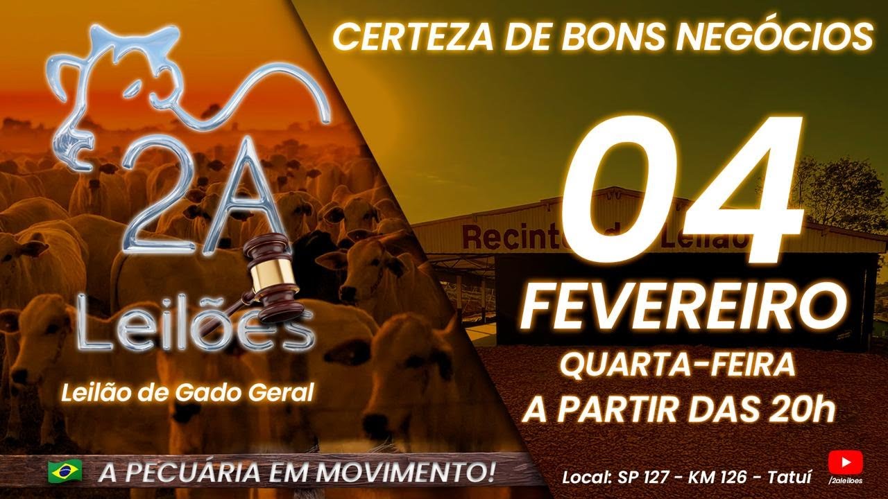Leilão Virtual 2A LEILÕES - Credibilidade e Qualidade - 04/02/2026