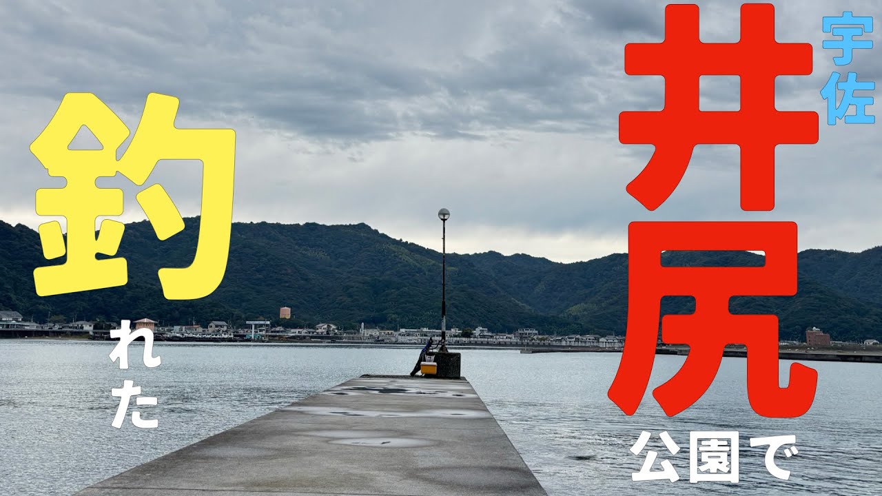 【カゴ釣り】48日目　宇佐井尻公園で釣れた【またしても日本のUSA】