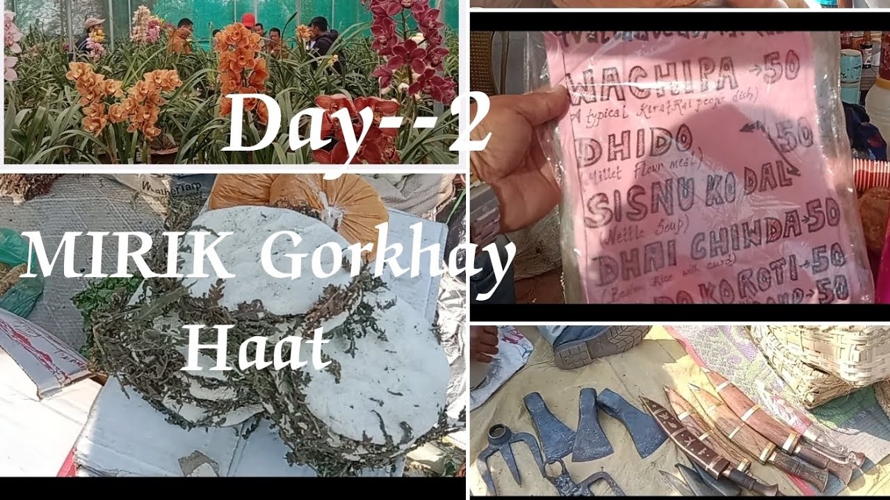 Visit to MIRIK Gorkhay Haat//Himalayan Orchid Nursery//garden.Day--II.