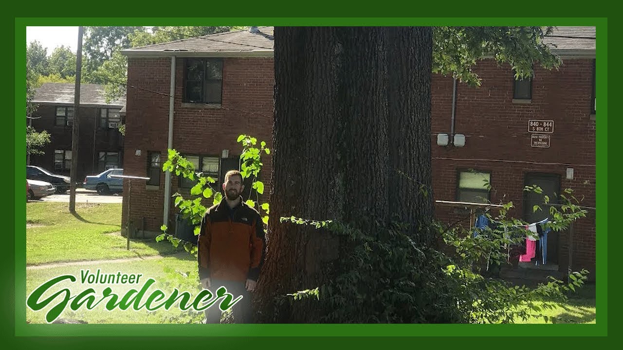 Nashville Tree Conservation Corp | Volunteer Gardener