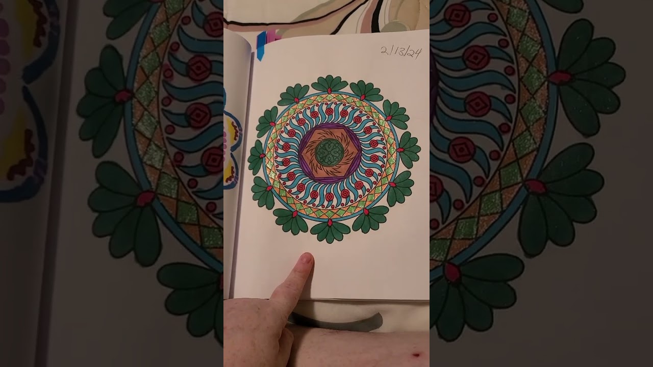 mandala coloring book vol 2 by paper sky press (8th Completed book for 2024)