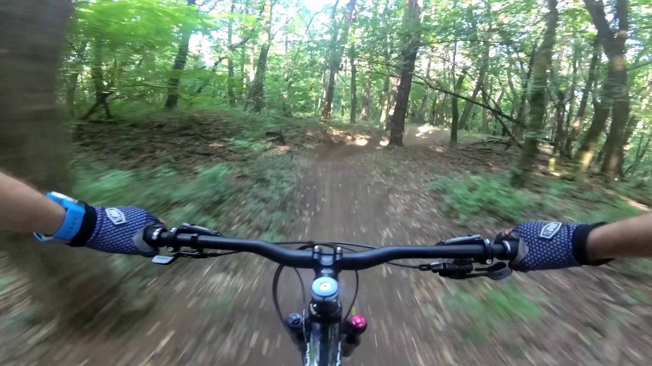 Batove traily - Buddy Trail