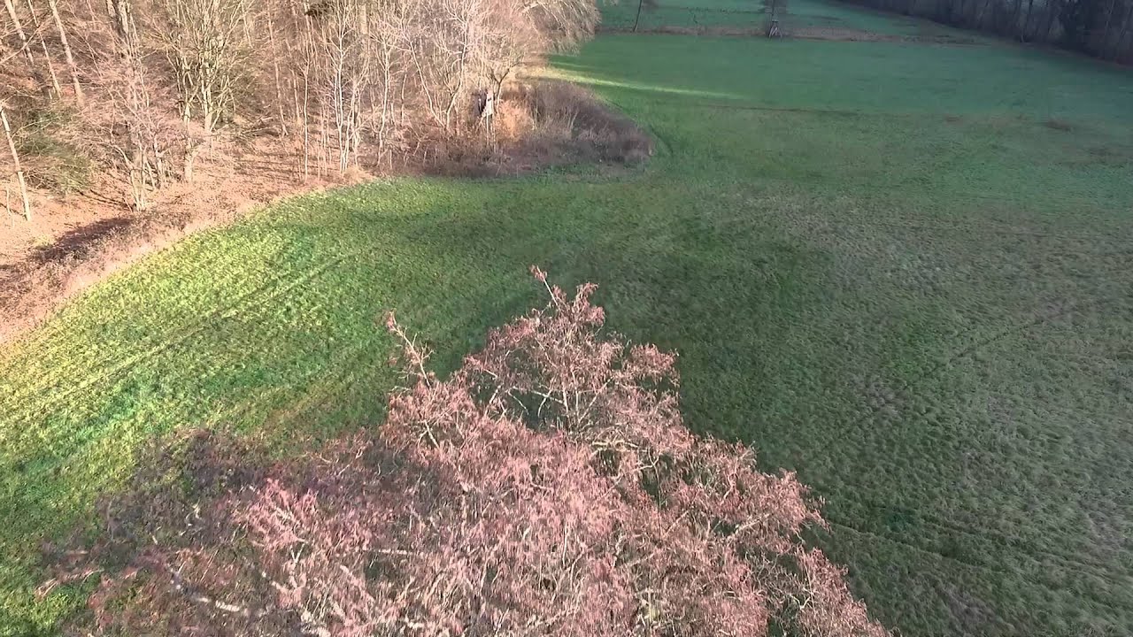 DJI Phantom 3 professional first flight
