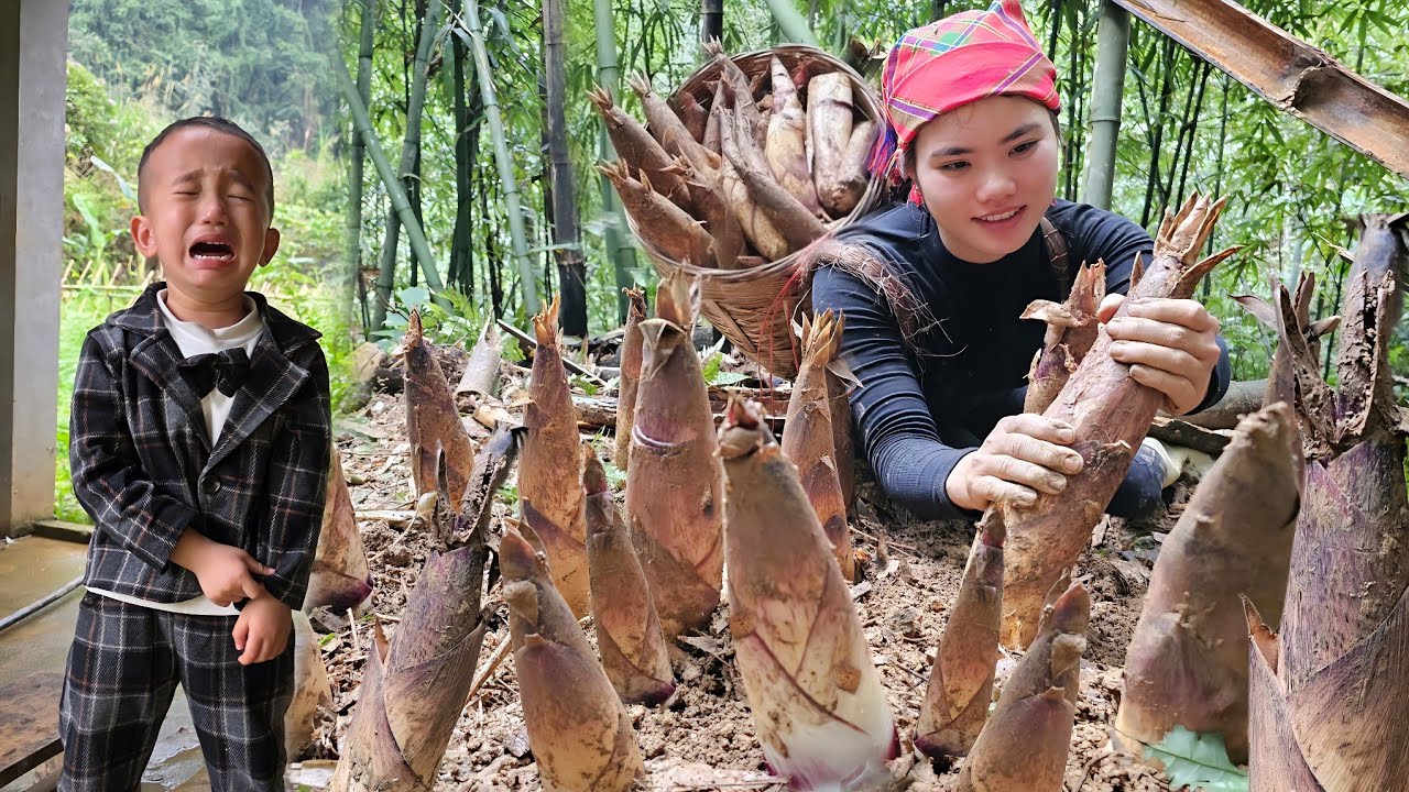 Harvesting The First Bamboo Shoots of The Season to Sell at The Market and Enjoying a Cozy Meal.