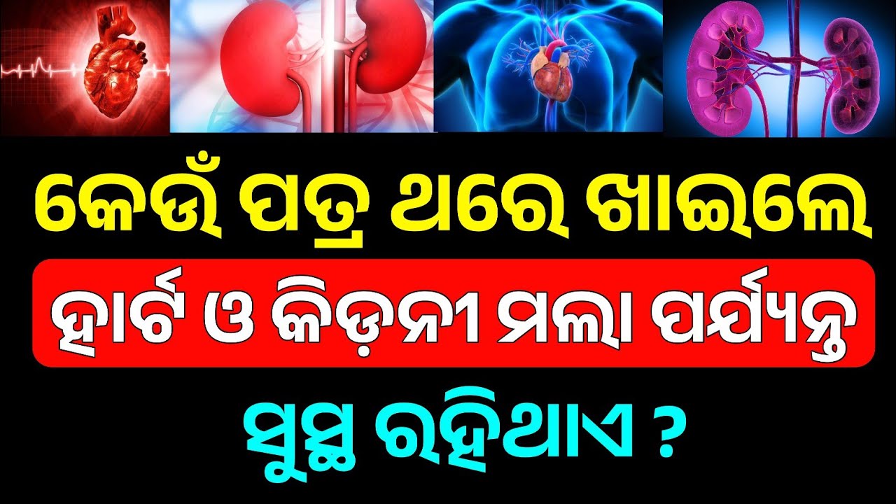 Odia GK 2025 | Top 15+ Daily General Knowledge Questions with Answers in Odia | Today’s Quiz