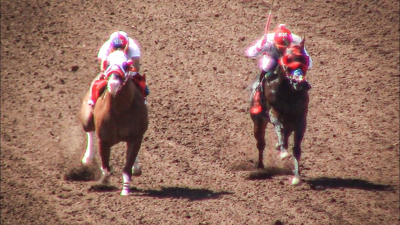 El Payaso C. San Rafael Vs La Santa C. La Estrella | Satevo Race Trak, Maturity Millonario 2021