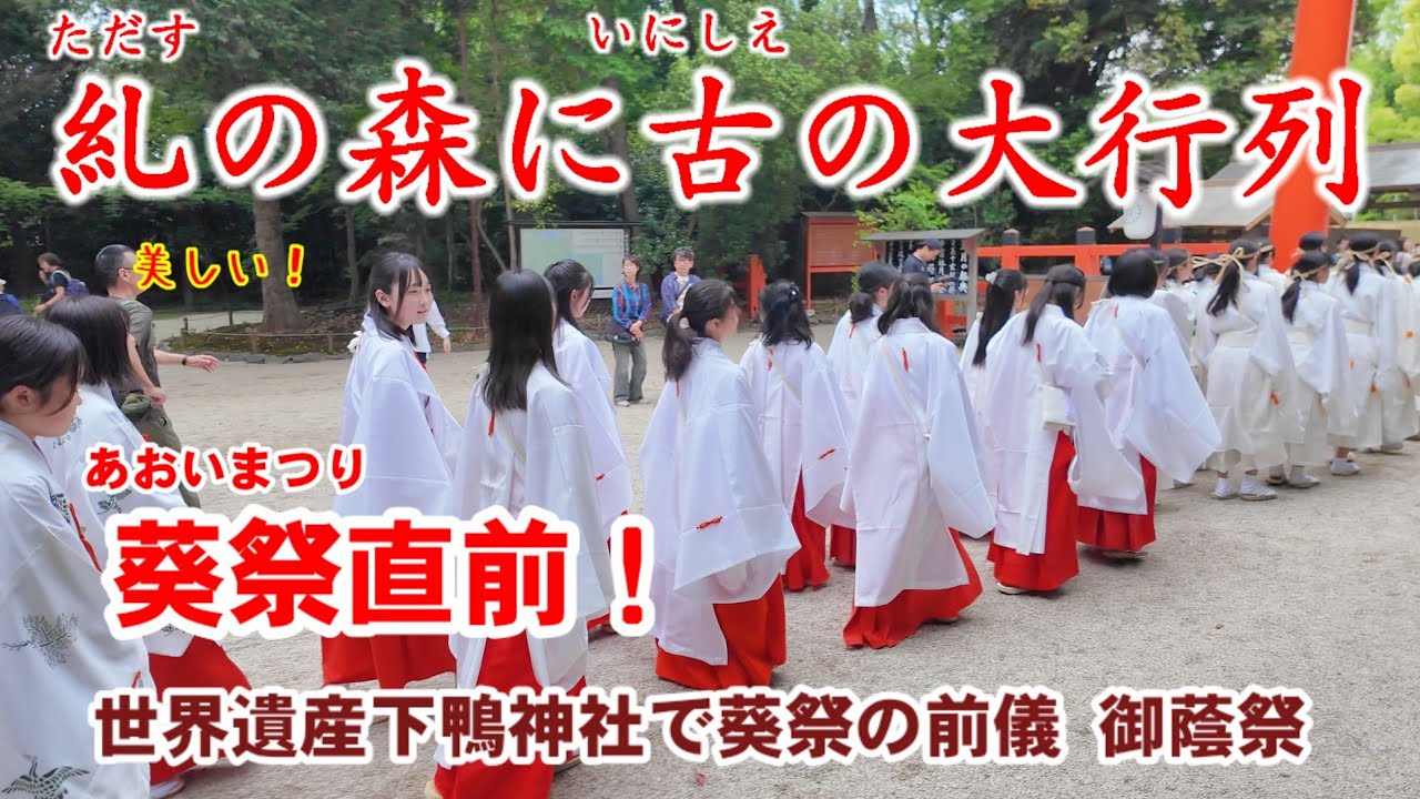 5/12(月)葵祭直前の大行列！糺の森に日本最古の神幸列が来た【世界遺産下鴨神社で御蔭祭切芝神事 特別版】